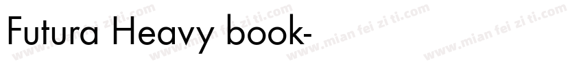 Futura Heavy book字体转换